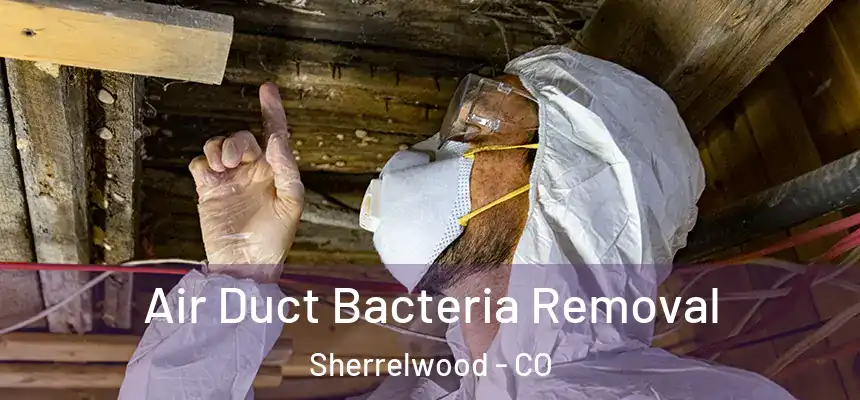  Air Duct Bacteria Removal Sherrelwood - CO