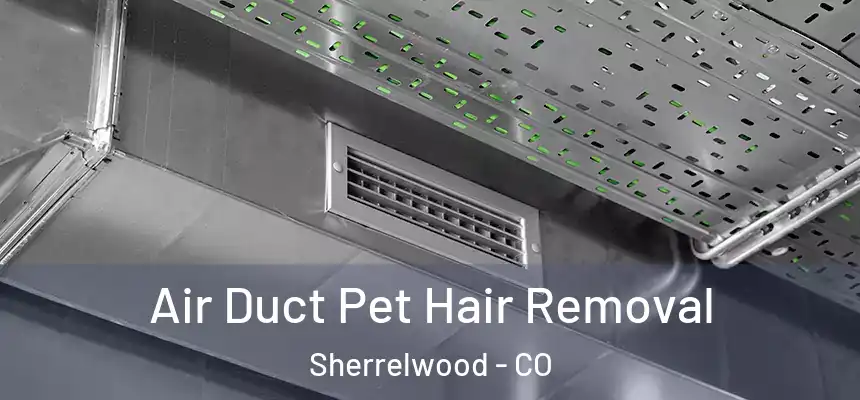  Air Duct Pet Hair Removal Sherrelwood - CO