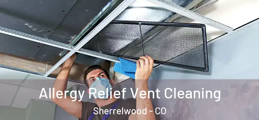  Allergy Relief Vent Cleaning Sherrelwood - CO