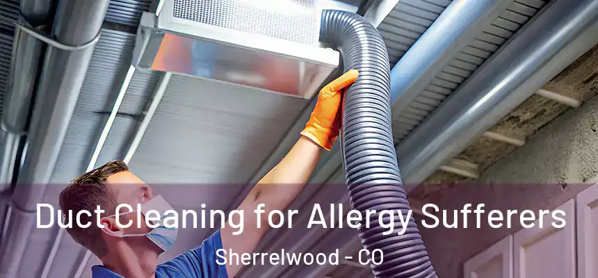  Duct Cleaning for Allergy Sufferers Sherrelwood - CO