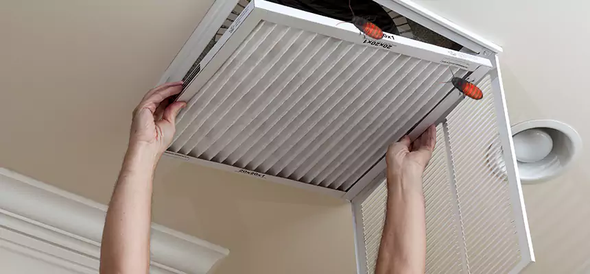 Preventive Cockroach-Proofing for Ducts in Sherrelwood
