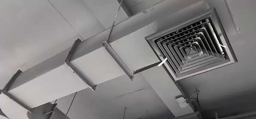 Restorative Allergy Relief Vent Cleaning – Coil, Blower & Housing Detail in Sherrelwood