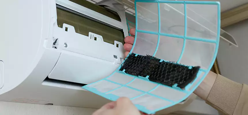 Gentle Ductwork Odor-Control Pet Dander Duct Cleaning in Sherrelwood, CO