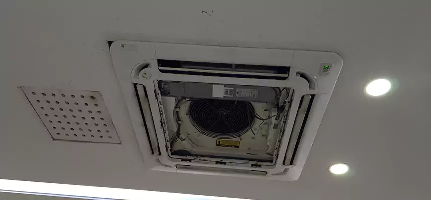 Our Wall Vent Cleaning Service Services in Sherrelwood, CO