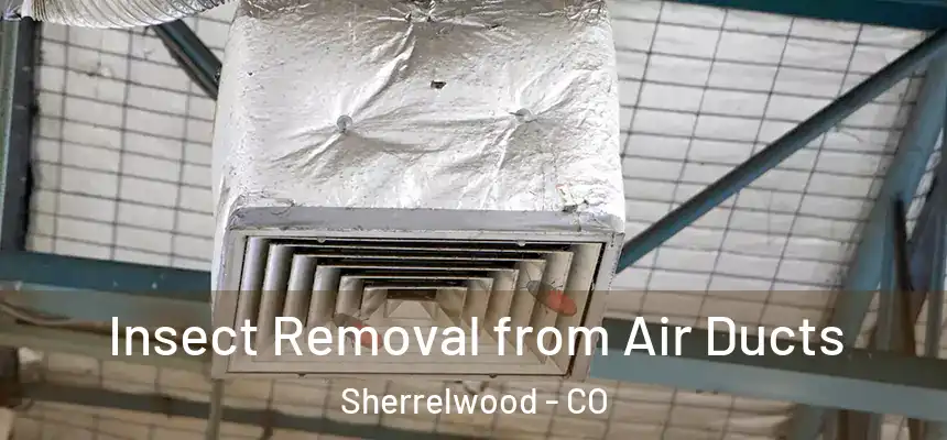  Insect Removal from Air Ducts Sherrelwood - CO
