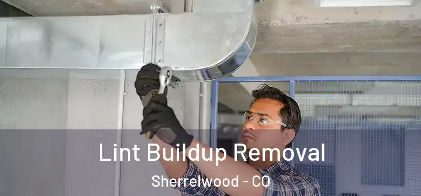  Lint Buildup Removal Sherrelwood - CO
