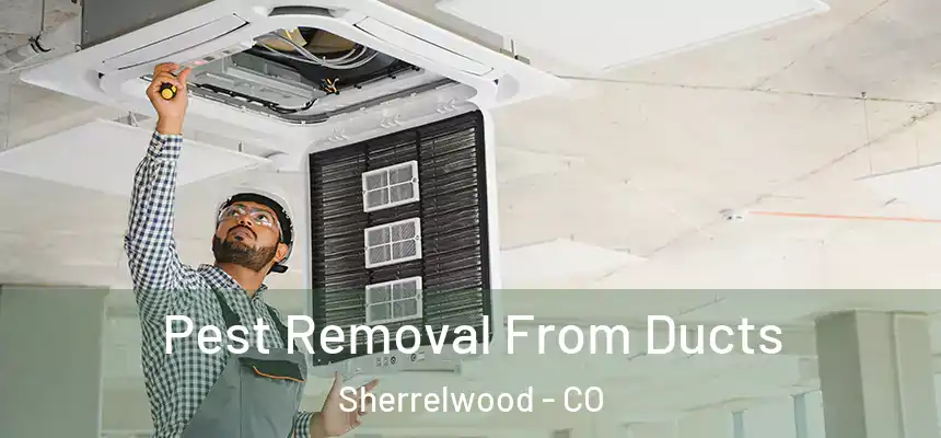  Pest Removal From Ducts Sherrelwood - CO