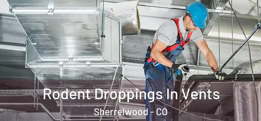  Rodent Droppings In Vents Sherrelwood - CO