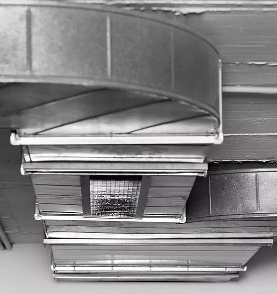 Professional Air Duct Pest Removal in Sherrelwood, CO