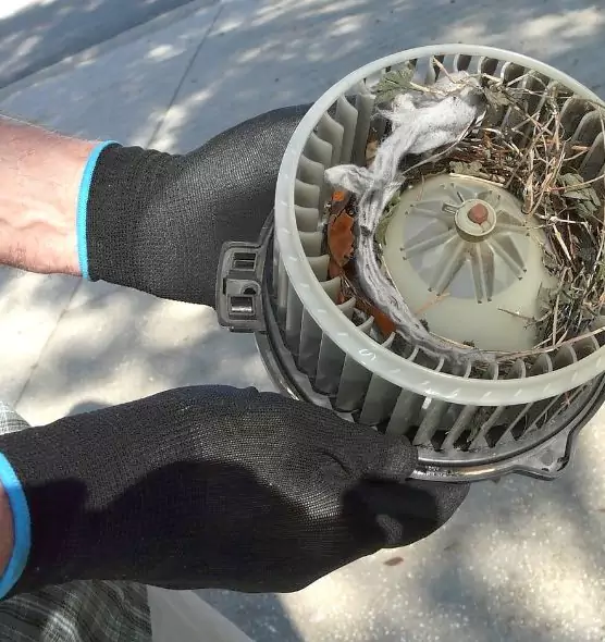 About Air Duct Rat Removal in Sherrelwood, CO