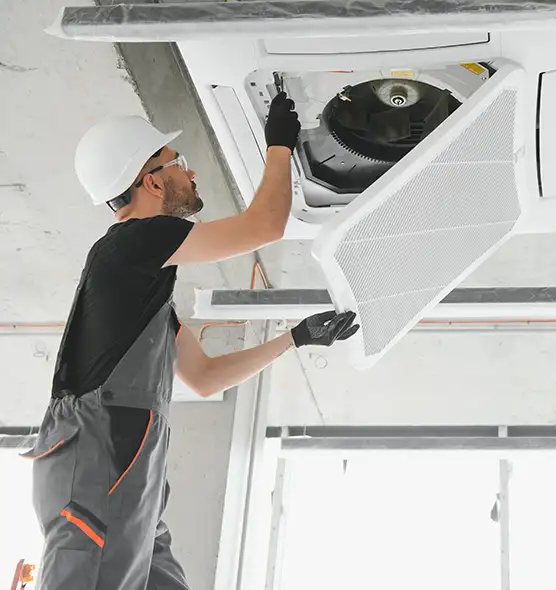 About Air Duct Rodent Removal in Sherrelwood, CO