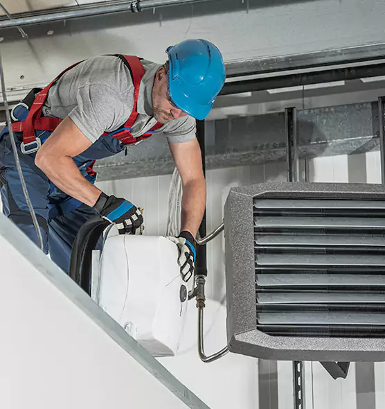 About HVAC Mold Remediation Service in Sherrelwood, CO