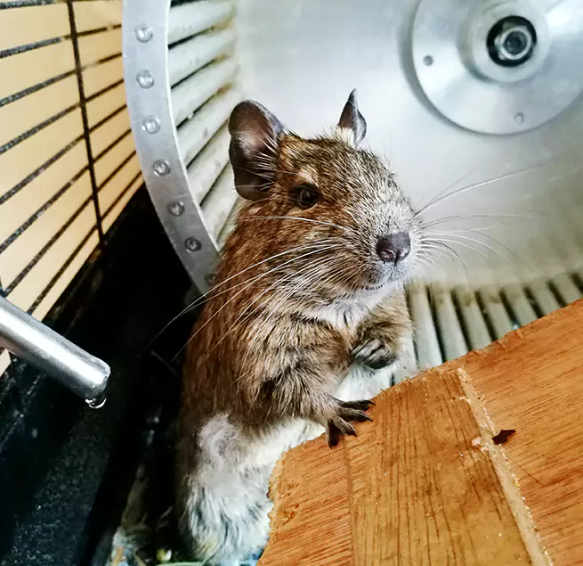 Why Homeowners & Businesses Trust Us Sherrelwood, CO?