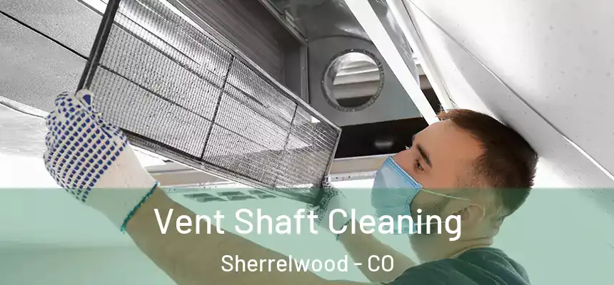  Vent Shaft Cleaning Sherrelwood - CO